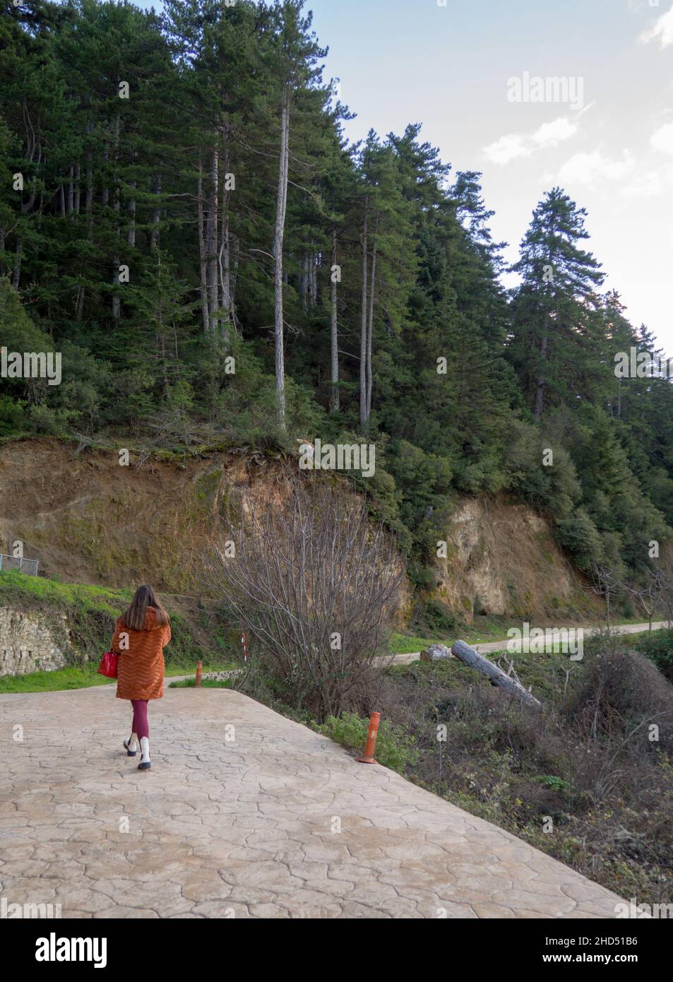 Frau, die auf einem Waldweg geht Stockfoto