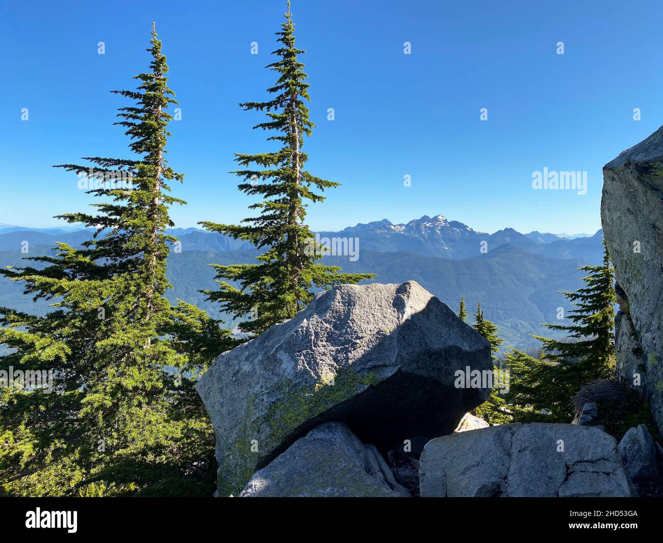 Bäume und Felsbrocken mit Blick auf die Berge in den Nordkaskaden Stockfoto