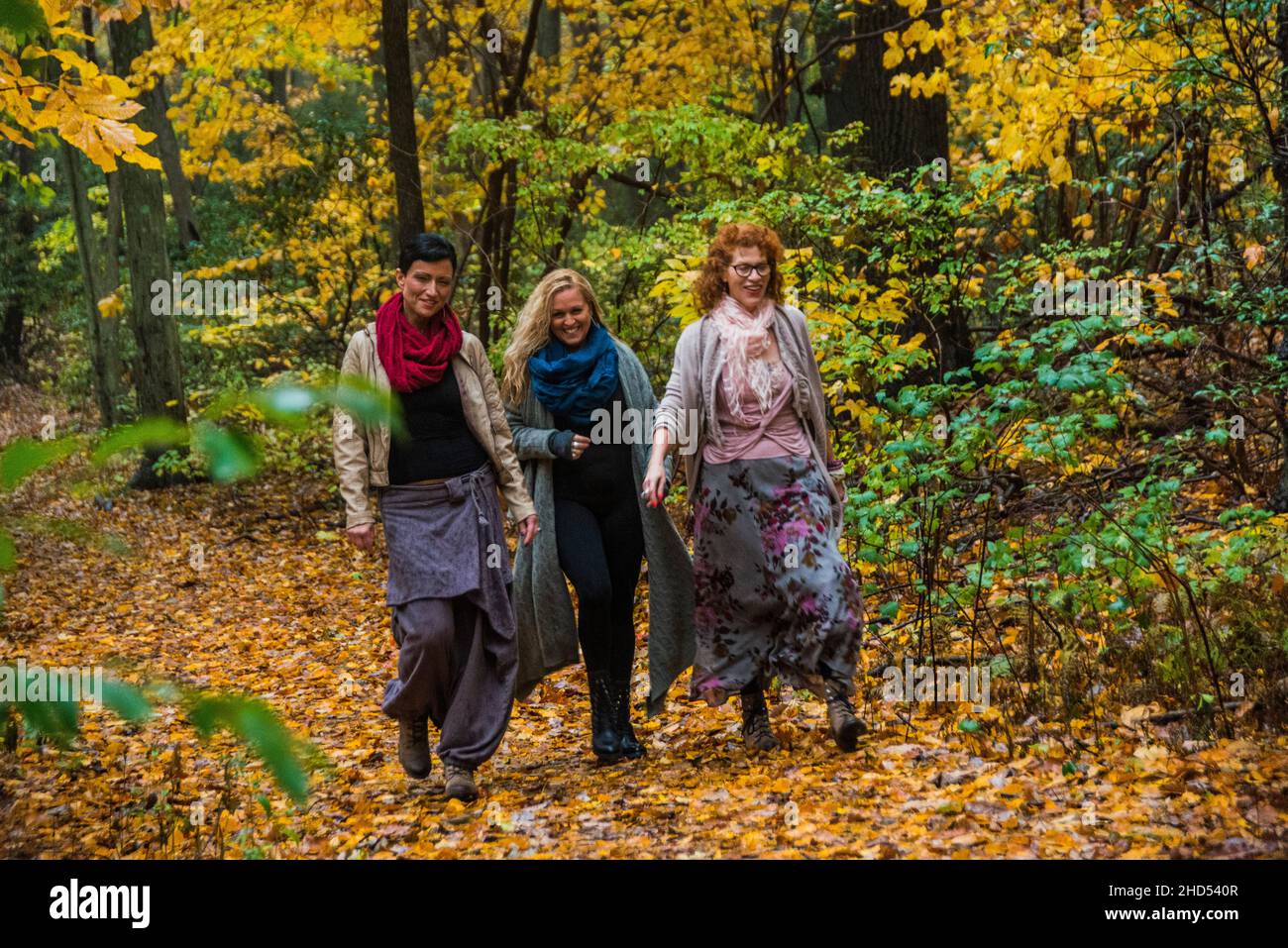 Frauen, die im Wald spazieren, reden Stockfoto