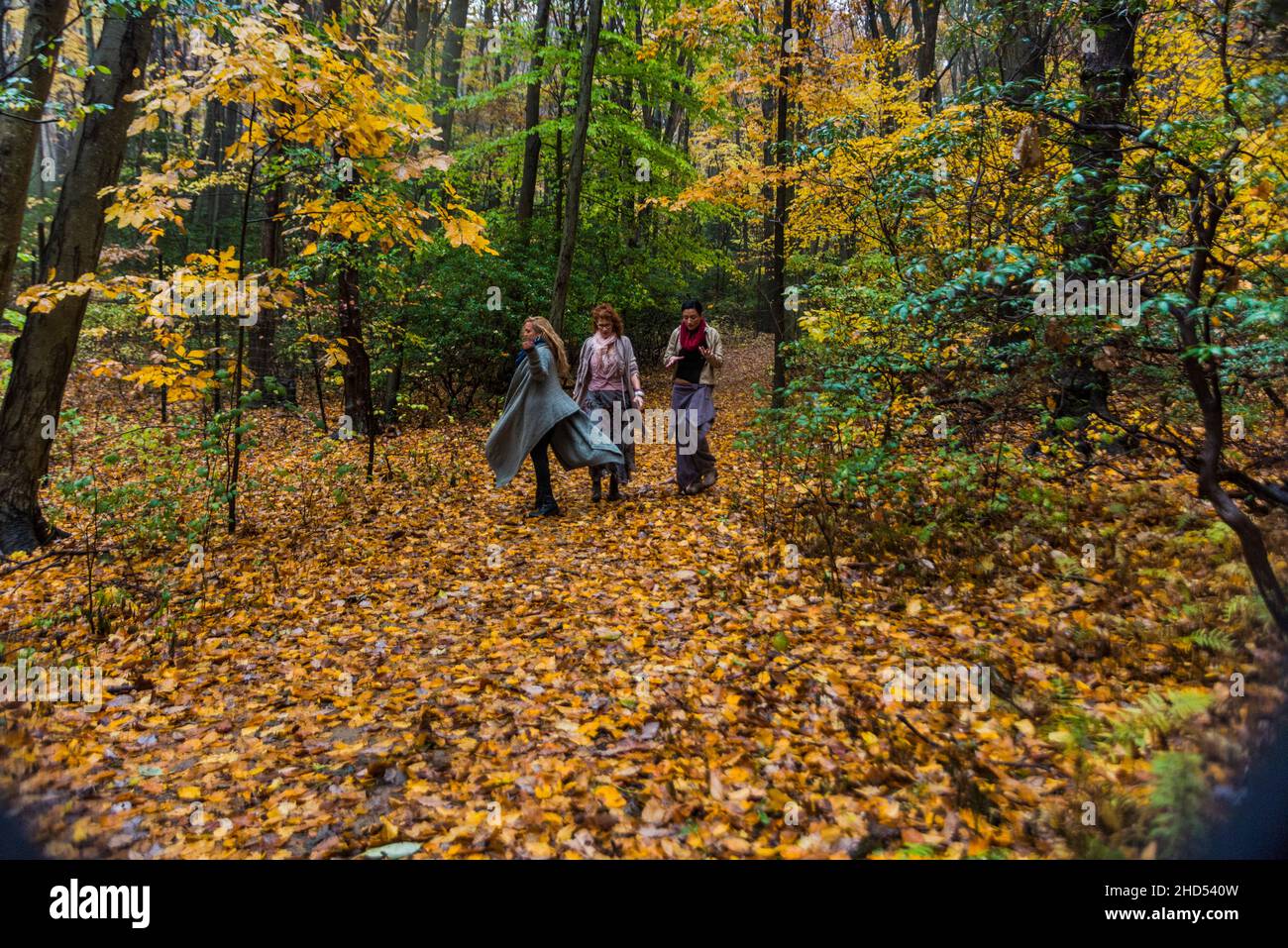 Frauen, die im Wald spazieren, reden Stockfoto