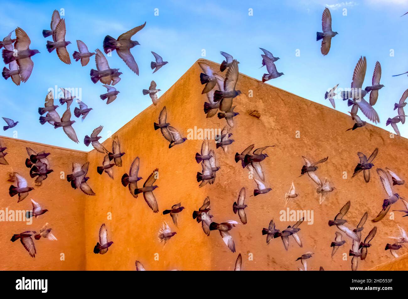 Tauben umschwärmen die Missionskirche von San Francisco de Asis Stockfoto