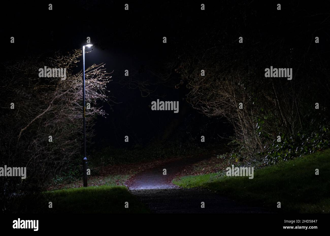 Eine Straßenbeleuchtung beleuchtet seine Umgebung auf einem ländlichen Fußweg, der die umliegenden Bäume skulptural macht, Redditch, Worcestershire. Stockfoto