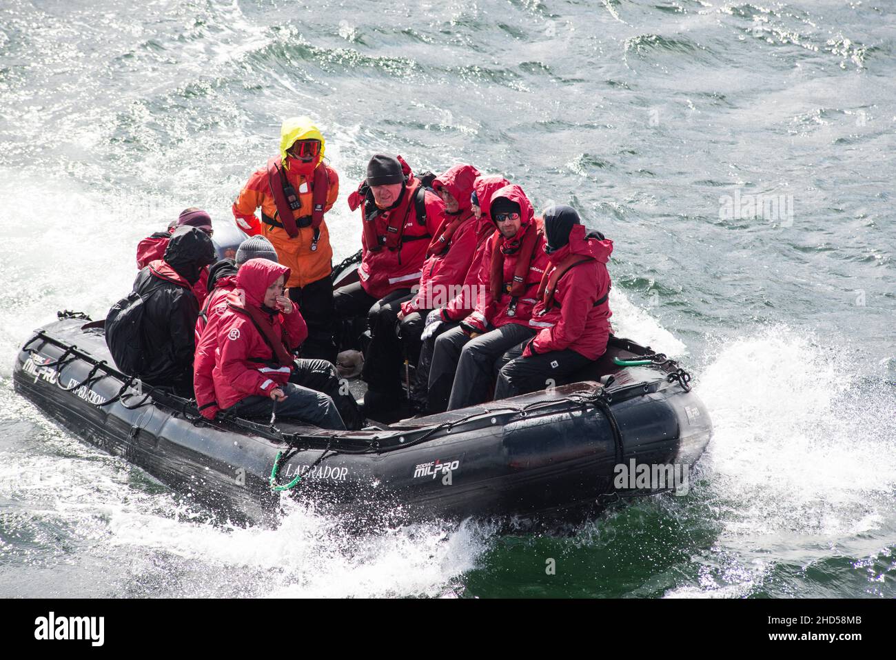 Touristen in Gummi, Tierkreis Boot Rückkehr zum antarktischen Kreuzschiff bei rauem Wetter. Saunders Islands Falkland Islands Stockfoto