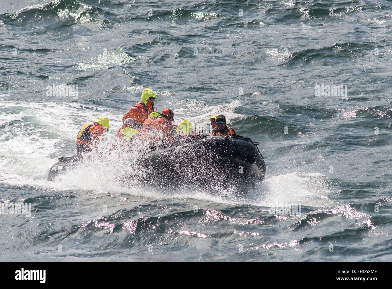 Touristen in Gummi, Tierkreis Boot Rückkehr zum antarktischen Kreuzschiff bei rauem Wetter. Saunders Islands Falkland Islands Stockfoto
