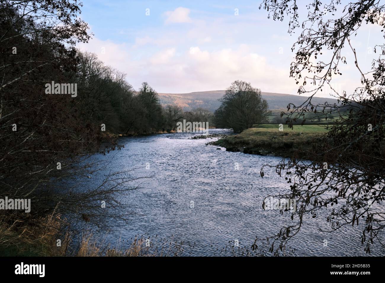 Blick südöstlich flussabwärts entlang des Flusses Wharfe in Wharfedale in der Nähe von Burnsall, Skipton, North Yorkshire an einem kalten Wintertag. Stockfoto