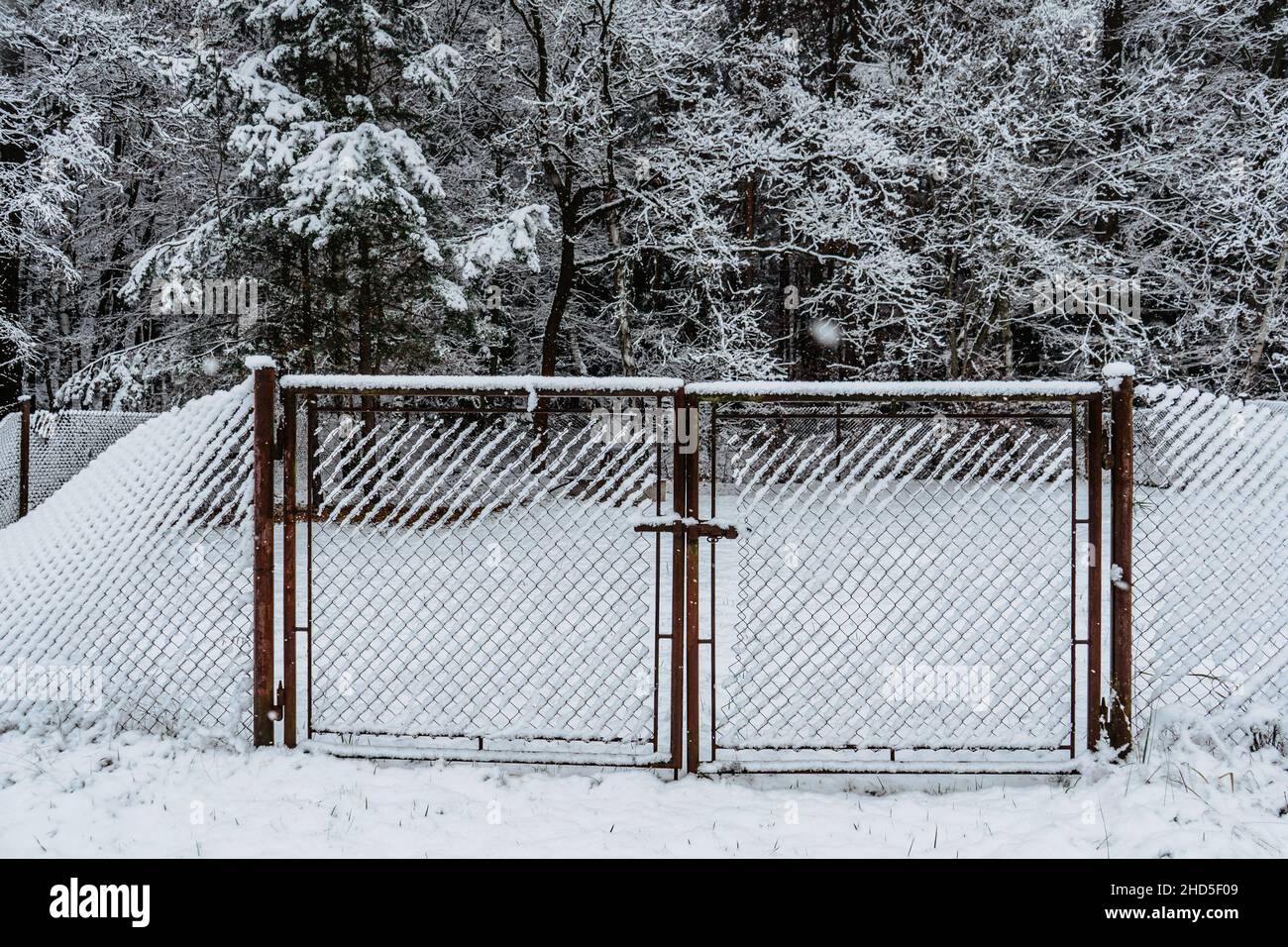 Schneebedeckter gefrorener Metallzaun und Tor, Bäume im Hintergrund.Winter schneebedecktes Wetter.Alter Waldzaun und Eingangstür mit kleineren Löchern, die unter Schnee zerstört wurden. Stockfoto