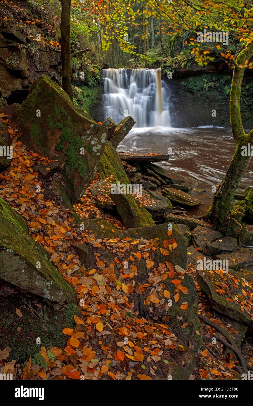 Herbstlicher Blick auf heruntergefallene Blätter und einen Wasserfall in einer felsigen Schlucht. Stockfoto