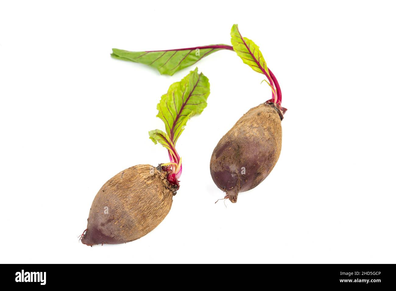 Frische Bio-Rote Beete mit frisch geernteten Blättern auf isoliertem weißem Hintergrund Stockfoto