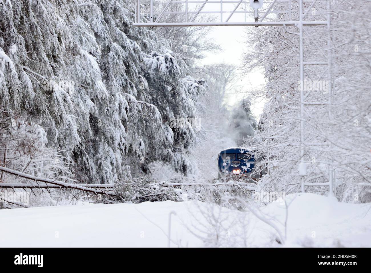 Lorton, VA, USA. 3rd Januar 2022. Blick auf heruntergestürzte Bäume, die einen Amtrak-Autozug während eines schweren Winterschneesturms blockieren, der die Region Nord-Virginia trifft, lähmt den Verkehr zu Beginn der Arbeitswoche im neuen Jahr am 3. Januar 2022 in Lorton, Virginia. Kredit: Mpi34/Media Punch/Alamy Live Nachrichten Stockfoto