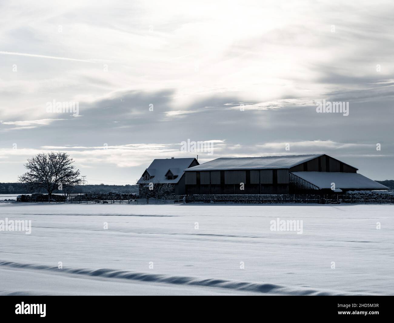 Winter's Tale. Schneebedeckte klare Lichtlandschaft des Elsass. Frankreich. Stockfoto