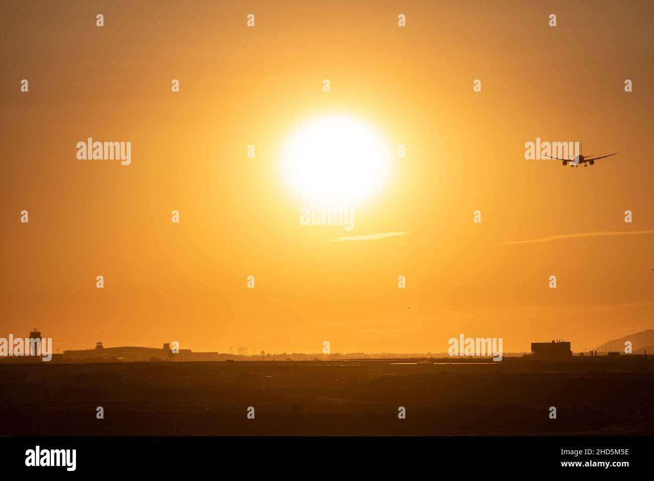 Zweimotorige Jet-Landung auf dem Flughafen Barcelona bei Sonnenuntergang, körnige Aufnahme mit Vögeln. Spanien Stockfoto