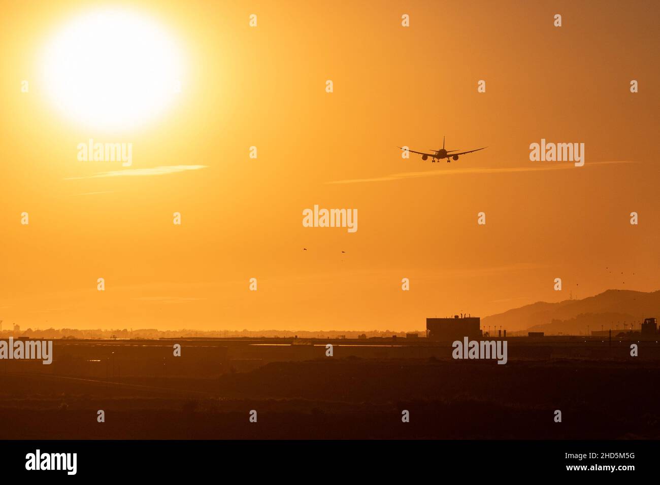 Zweimotorige Jet-Landung auf dem Flughafen Barcelona bei Sonnenuntergang, körnige Aufnahme mit Vögeln. Spanien Stockfoto