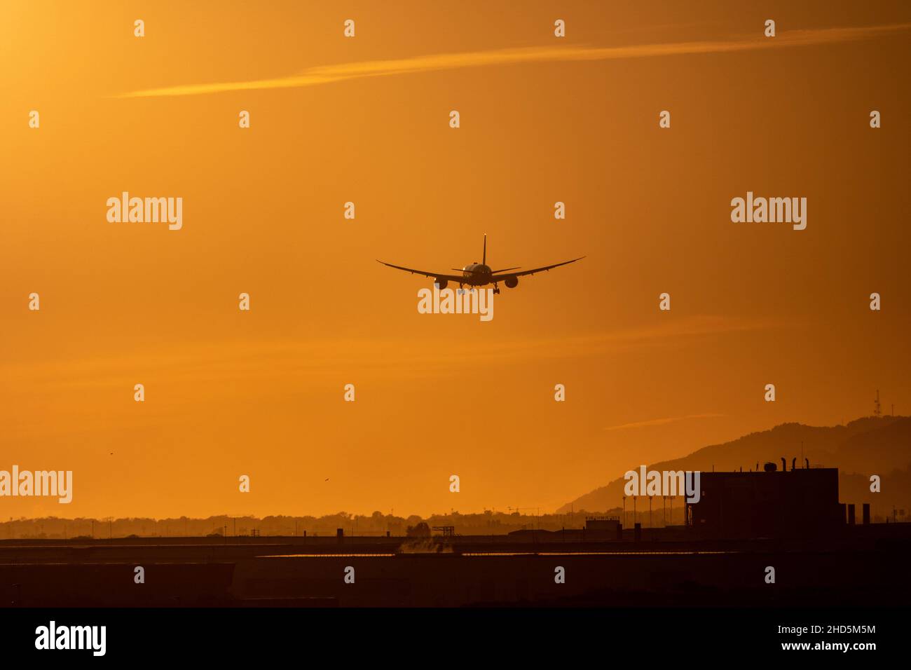 Zweimotorige Jet-Landung auf dem Flughafen Barcelona bei Sonnenuntergang, körnige Aufnahme mit Vögeln. Spanien Stockfoto