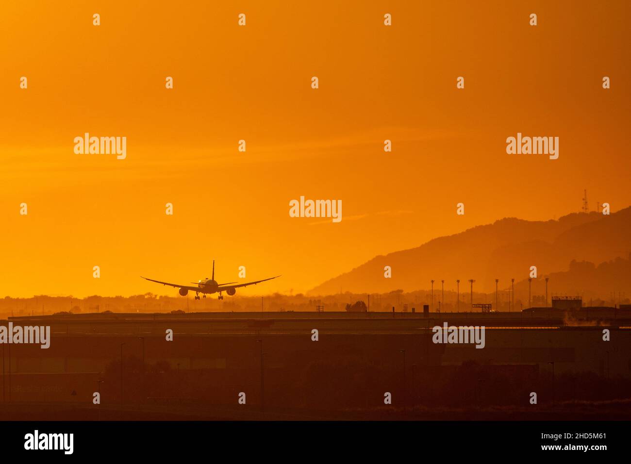 Zweimotorige Jet-Landung auf dem Flughafen Barcelona bei Sonnenuntergang, körnige Aufnahme mit Vögeln. Spanien Stockfoto