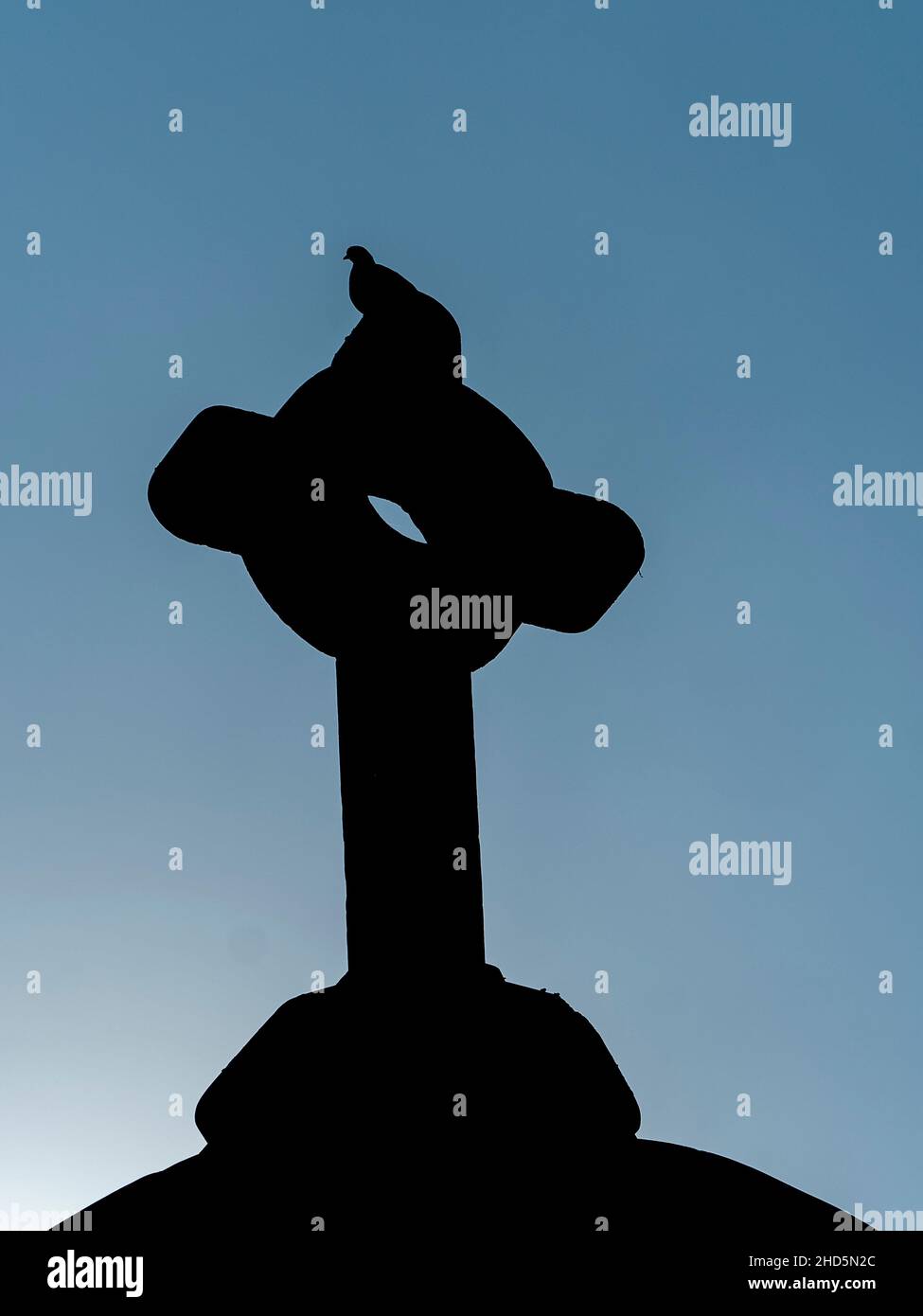 Ein Schatten einer Taube auf einem Grabstein, gegen den blauen Himmel auf dem Friedhof, Mexiko-Stadt, Mexiko Stockfoto Ein Schatten einer Taube auf einem Grabstein, gegen den blauen Himmel auf dem Friedhof, Mexiko-Stadt, Mexiko Stockfoto