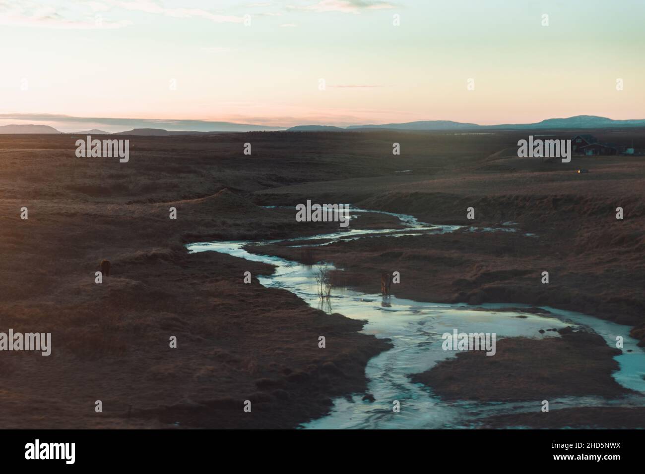 Creek in Island bei Sonnenaufgang im Winter Stockfoto