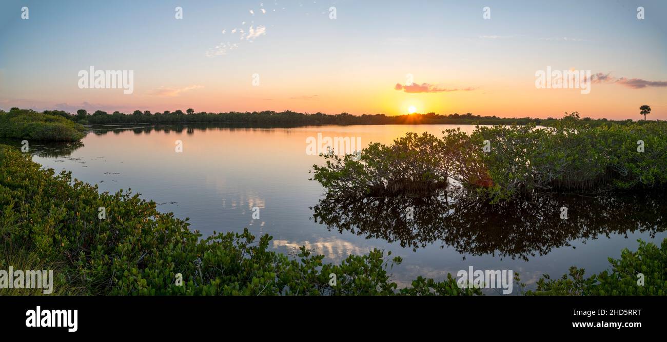 Sonnenuntergang über dem Gezeitenbecken von Mangroven im Merritt Island National Wildlife Refuge Stockfoto