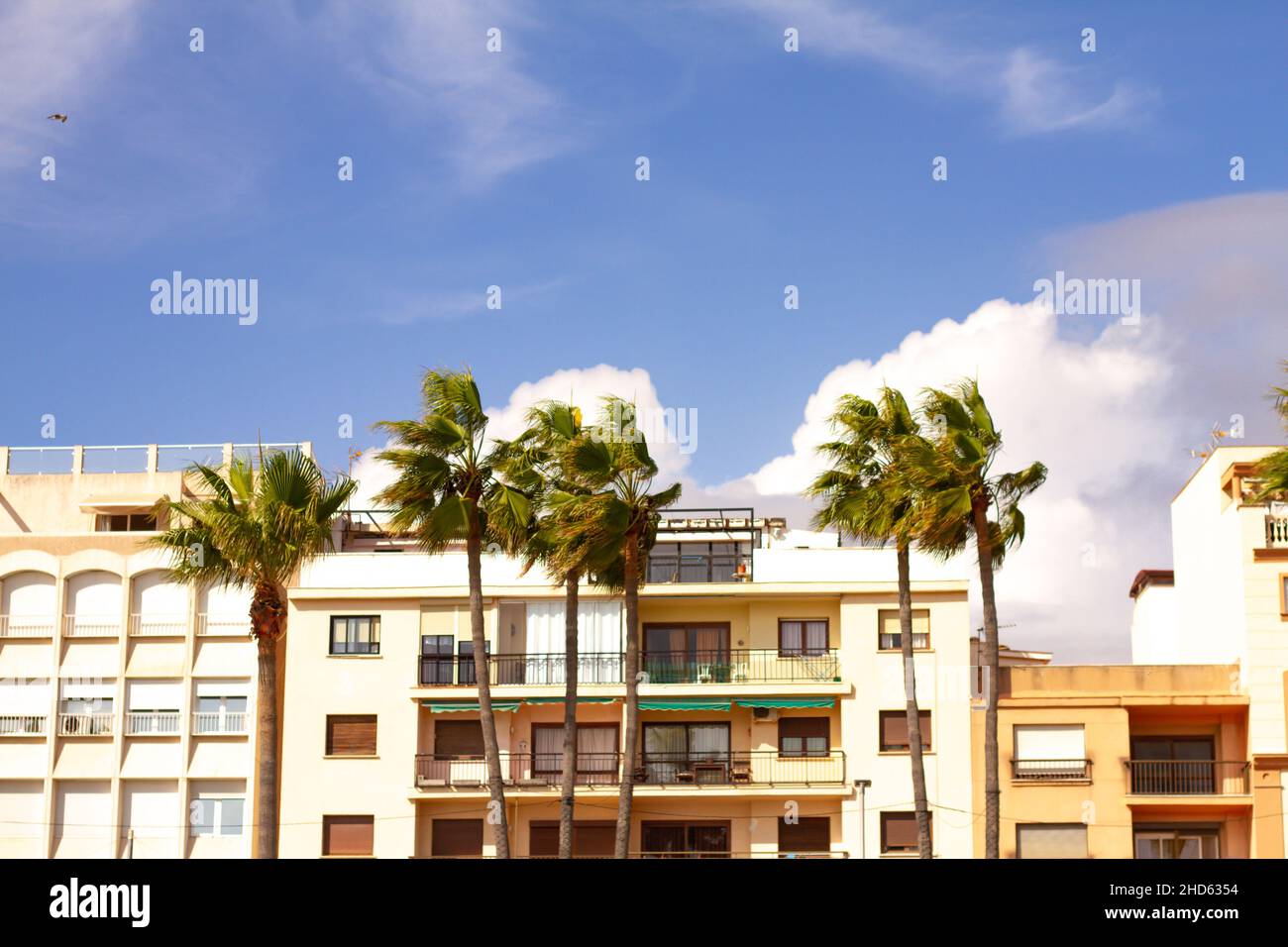 Eine typische Straße in der Altstadt Estepona mit bunten Blumentöpfen. Estepona, Andalusien, Spanien Stockfoto