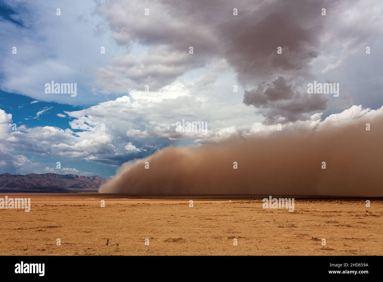 Ein Haboob-Staubsturm in der Wüste bei Dolan Springs, Arizona, USA Stockfoto