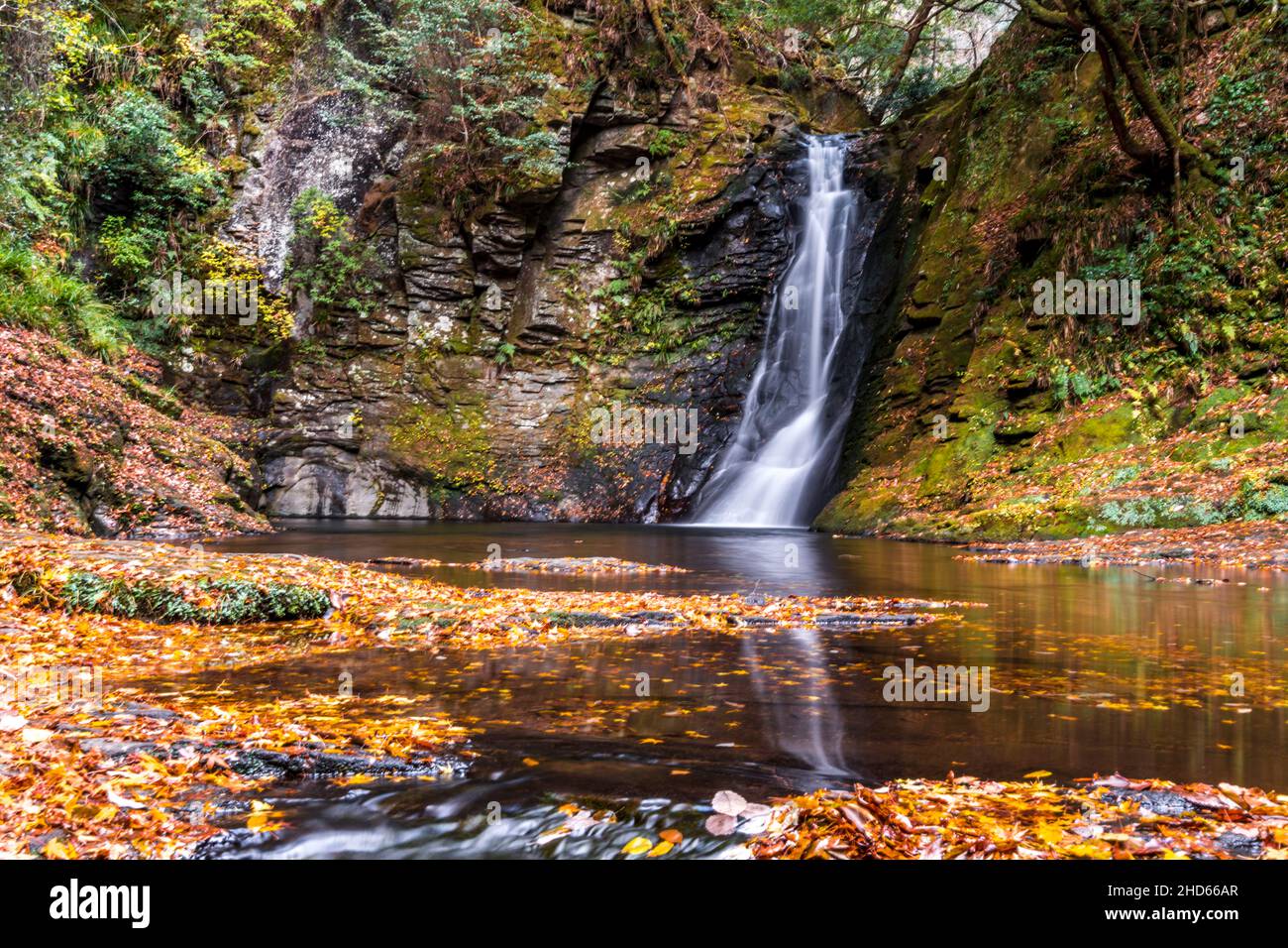 Das Wasser des Bergbachs fällt in den Steingarten und bedeckt Herbstblätter Stockfoto