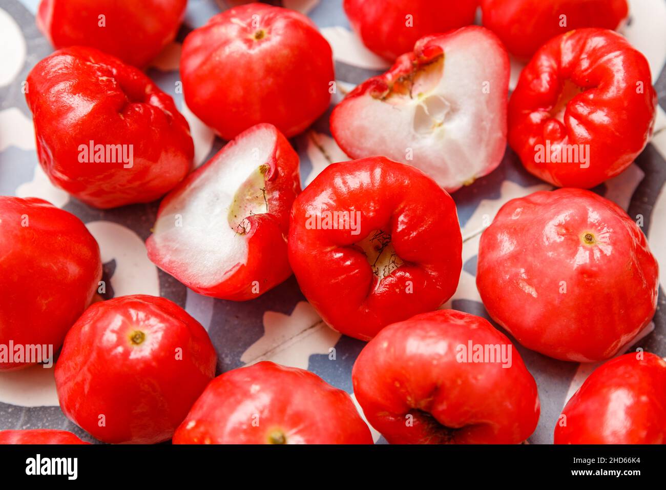 Wachsapfel oder Java-Apfel oder Semarang-Rosenapfel (Syzygium samarangense) Stockfoto