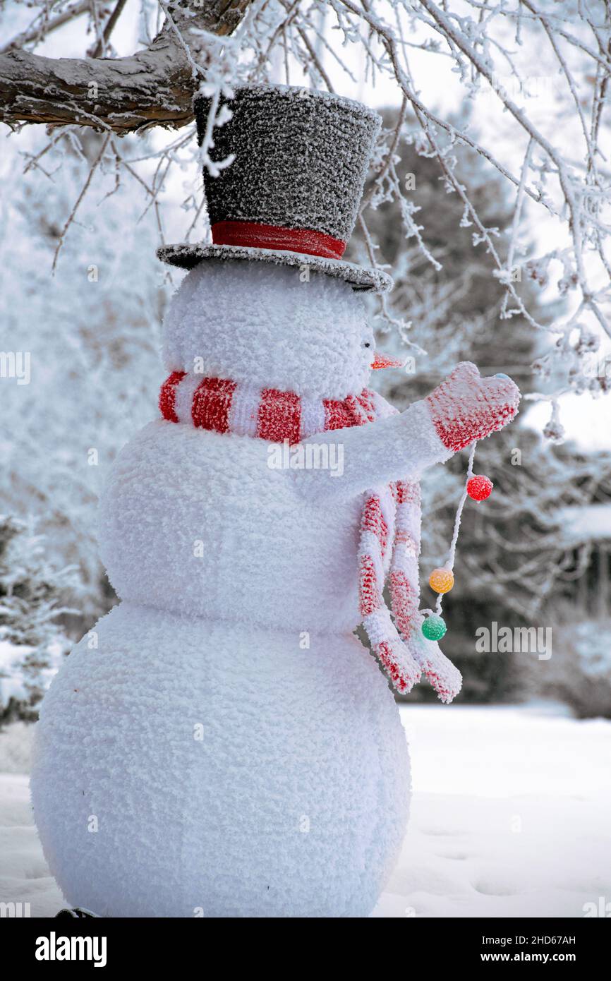 Frostig der Schneemann an einem kalten Wintertag Stockfoto