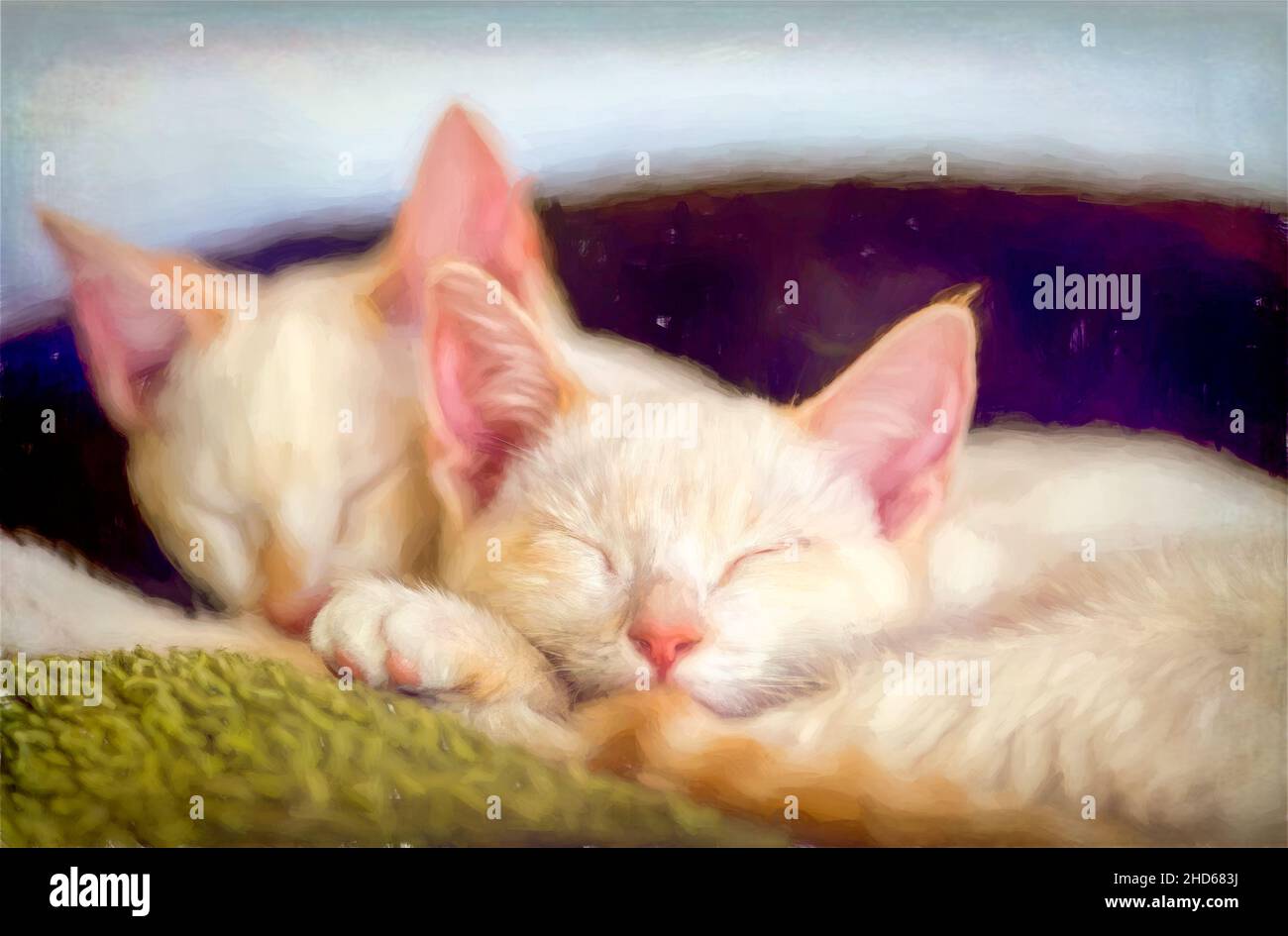 Zwei Niedliche Kätzchen Kuscheln Sich Und Schlafen Zusammen Stockfoto