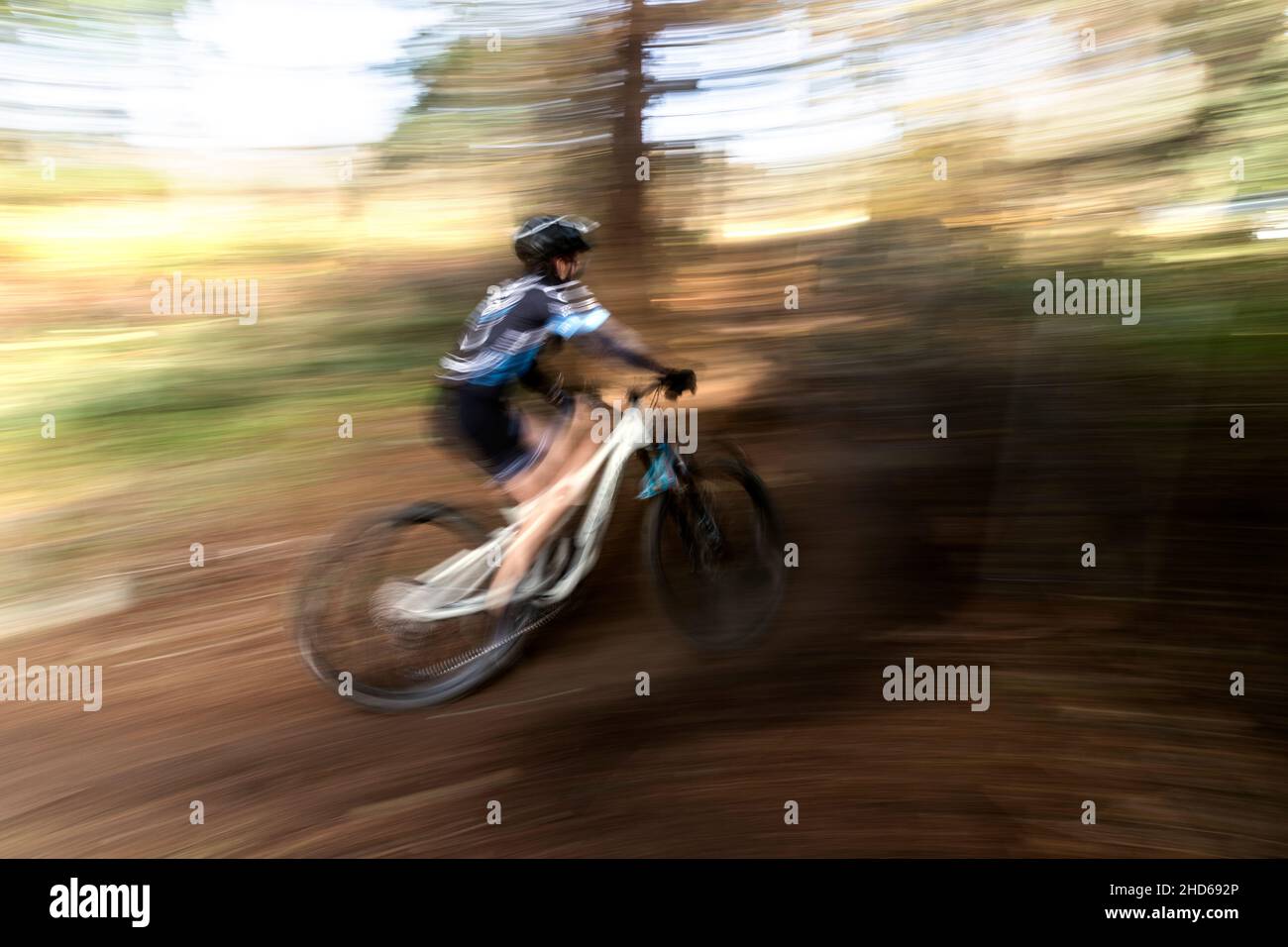 WA20623-00....WASHINGTON - Pan Action eines Radsportfahrers auf dem eingleisigen Abschnitt eines Frauencross-Rennens. Stockfoto