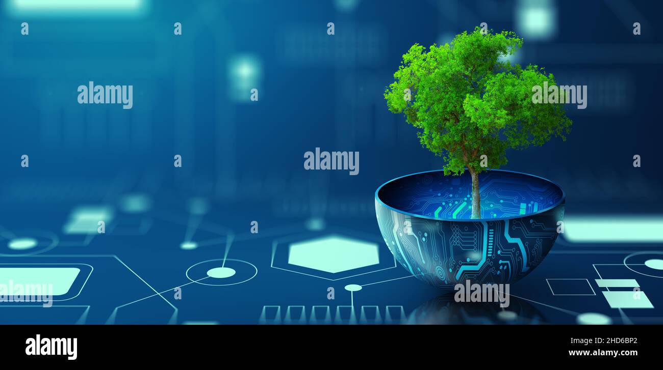 Baum wächst auf digitalem Pflanzentopf. Konvergenz von Öko-Technologie und Technologie. Green Computing, Green Technology, Green IT, csr und IT-Ethik. Stockfoto