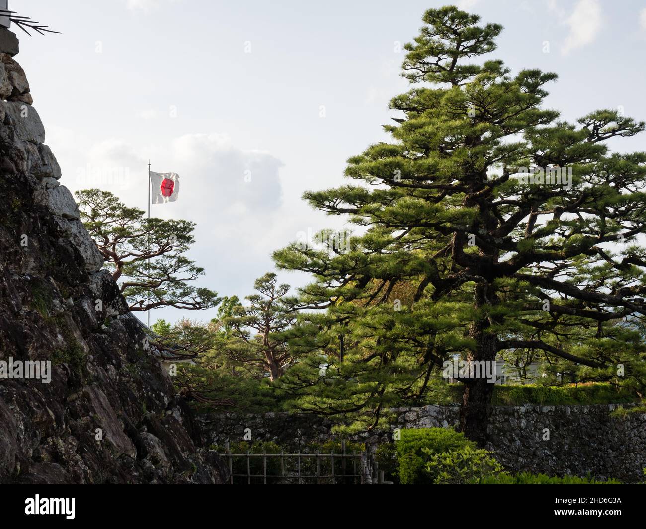 Japanische Flagge und Kiefern im öffentlichen Park in der Nähe von Kochi Castle - Präfektur Kochi, Japan Stockfoto