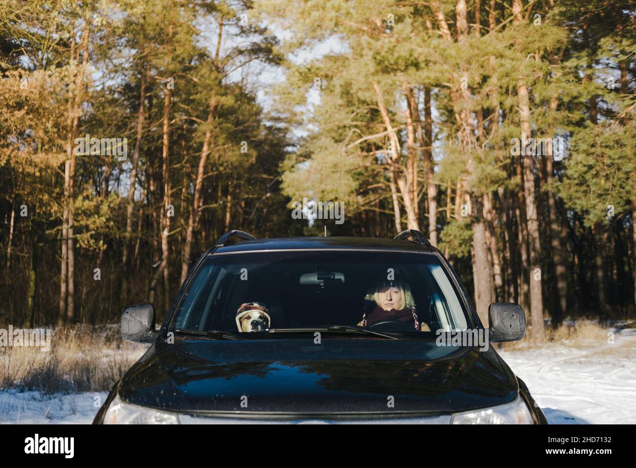 Eine Frau und ihr Hund mit lustigen Hüten sitzen im Auto im verschneiten Wald. Winter Outdoor-Aktivitäten, Haustiere in die Natur fahren, leben aktiven Lebensstil Stockfoto