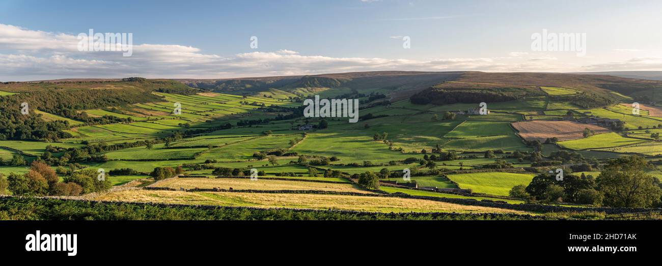 Ein Panoramablick auf Danby Dale und Little Fryupdale von Oakley Walls Stockfoto