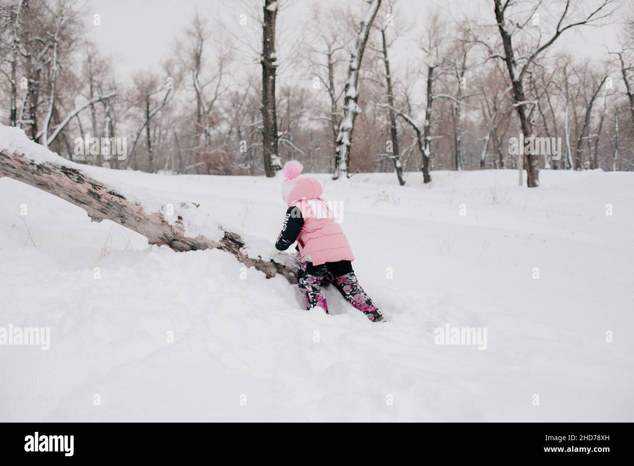 Entferntes Foto eines weiblichen russischen Kindes, das Baumstamm klettert, mit Bemühungen, rosa Winterkleidung im Wald zu tragen. Erstaunlicher Hintergrund voller weißer Farbe Stockfoto