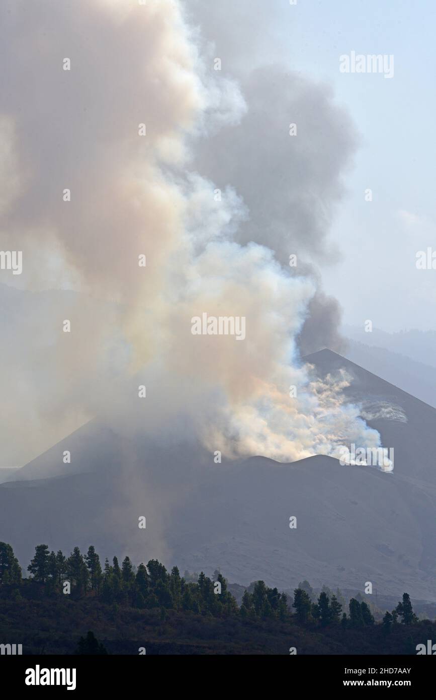 Vulkanausbruch von La Palma vom Aussichtspunkt Tajuya aus gesehen (11-15-2021). Stockfoto