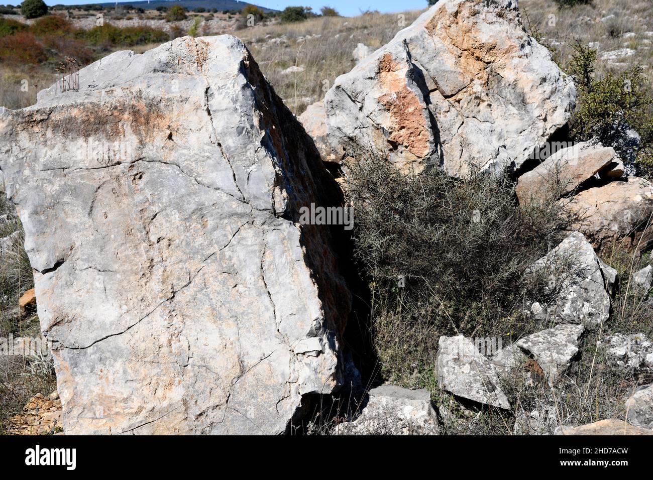 Schwarzer Kalkstein aus dem Jura (vor 160 Millionen). Aldealpozo, Soria, Castilla y Leon, Spanien. Stockfoto