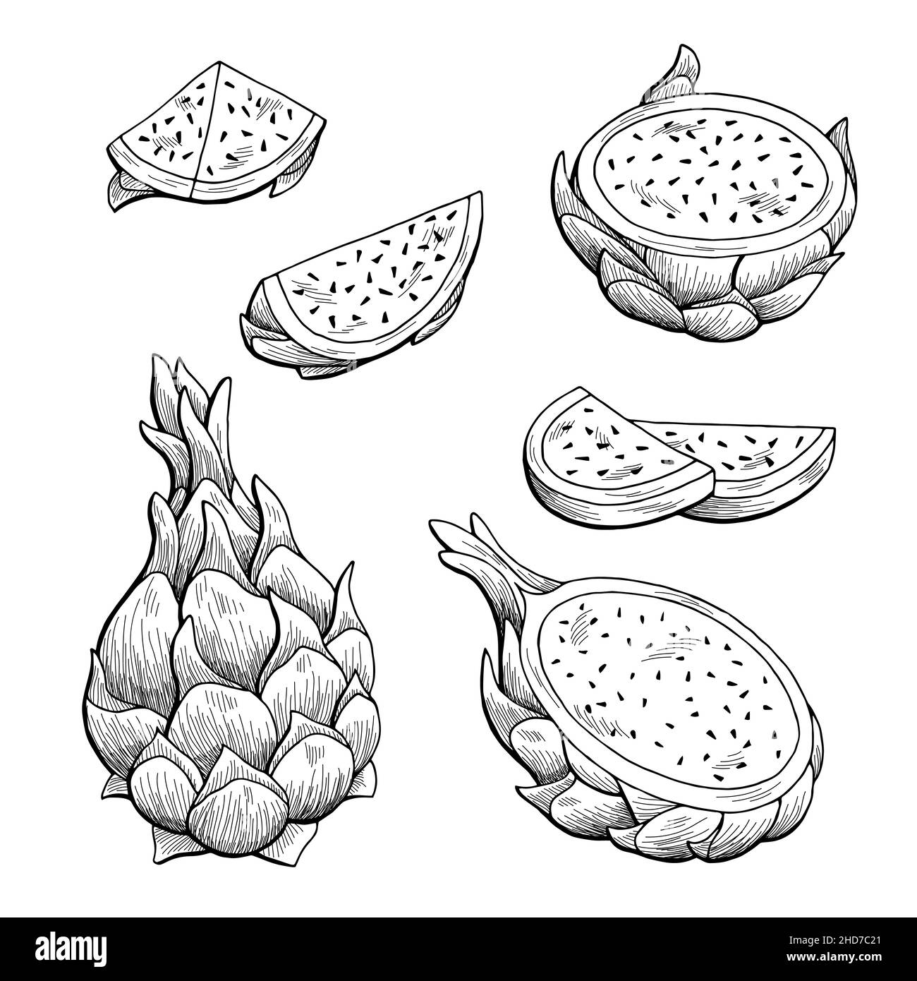 Pitaya Drachen Frucht Grafik schwarz weiß isoliert Skizze Illustration Vektor Stock Vektor