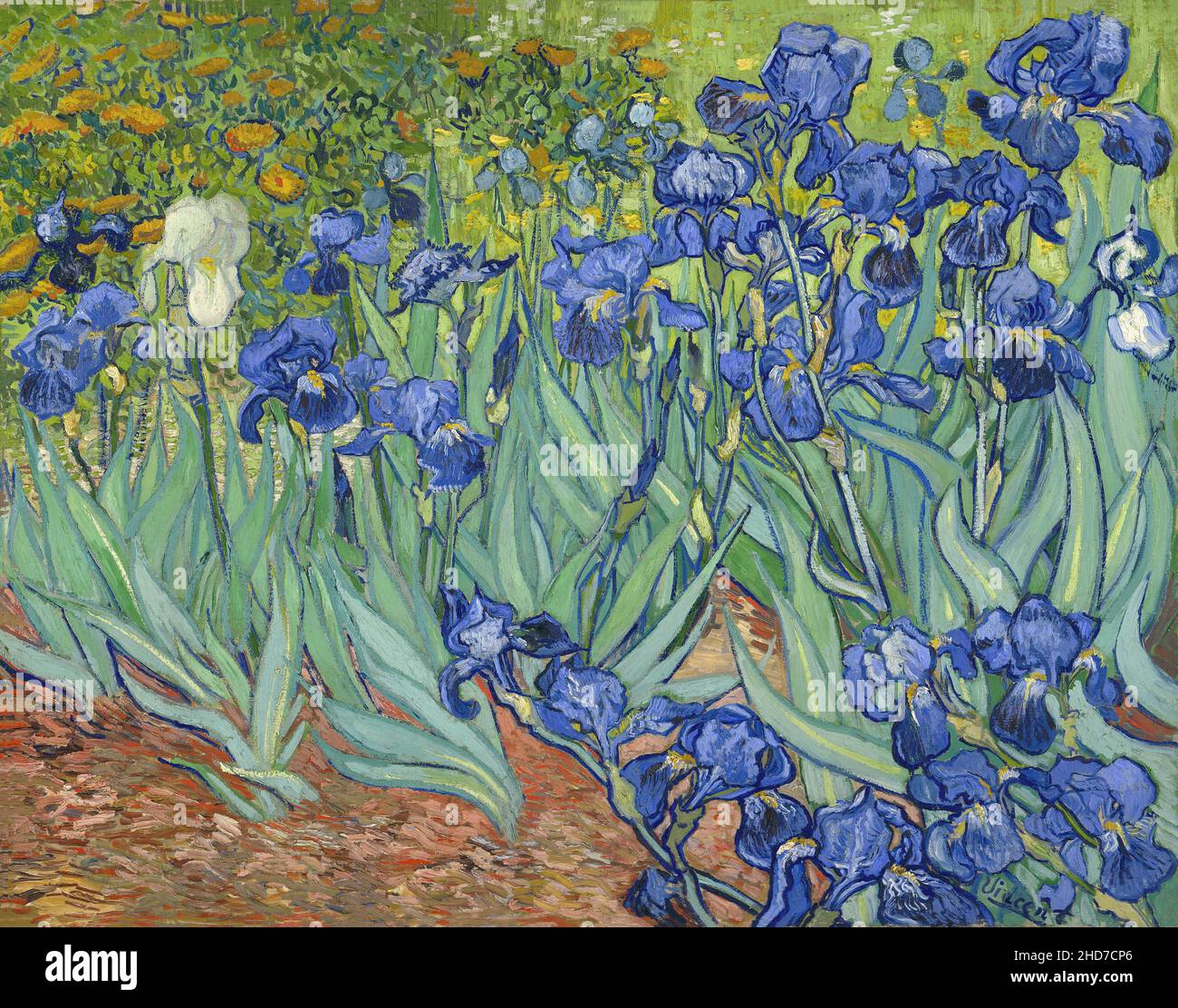 Vincent van Gogh (Niederländisch, 1853 - 1890), Irises, 1889, Post-Impressionismus. Öl auf Leinwand, das J. Paul Getty Museum, Malibu, Los Angeles, Kalifornien, Stockfoto