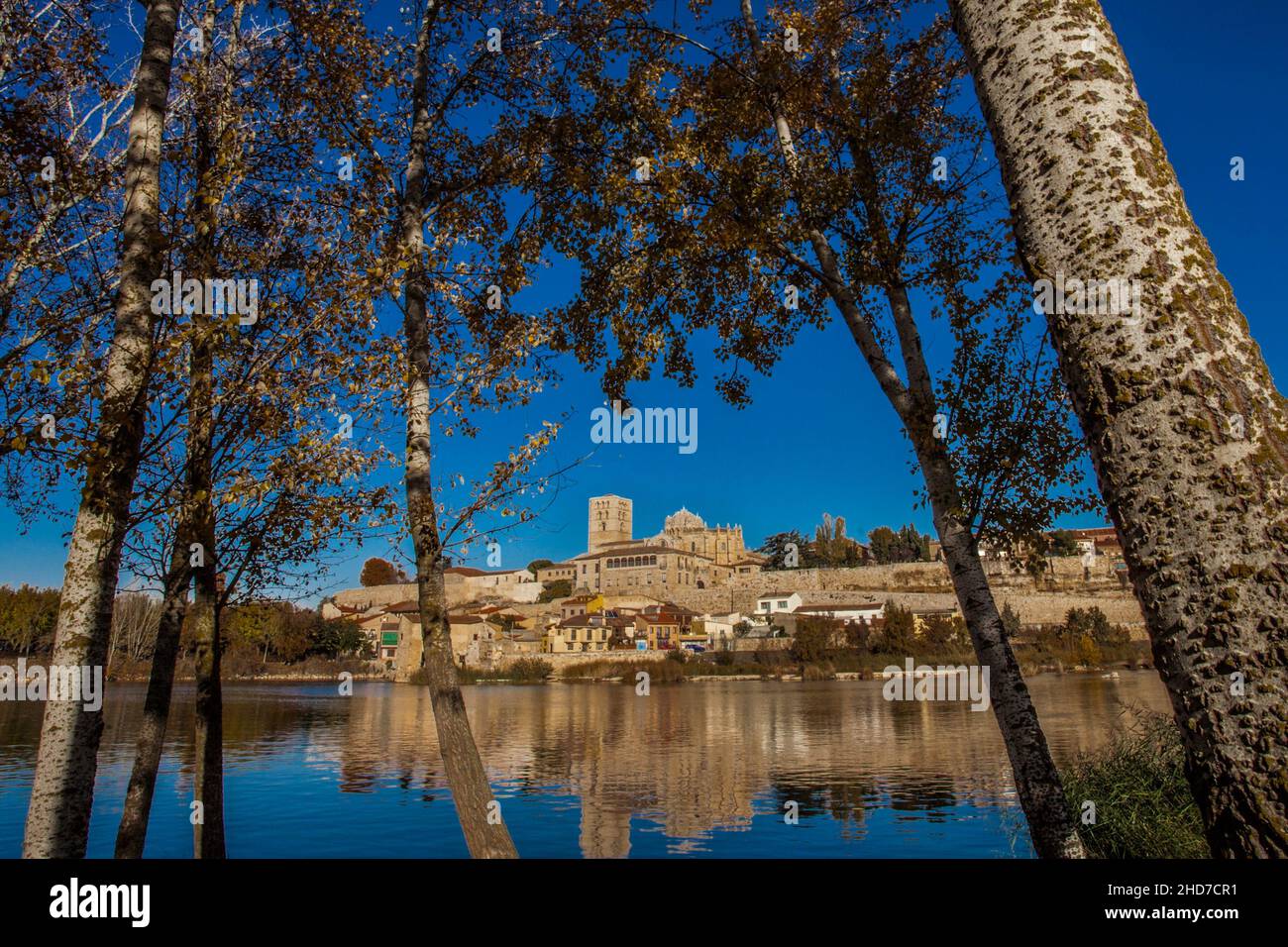 Im Hintergrund Kathedrale, Duero Fluss Zamora Stadt, Zamora Provience, Kastilien und Leon, Spanien, Europa. Stockfoto