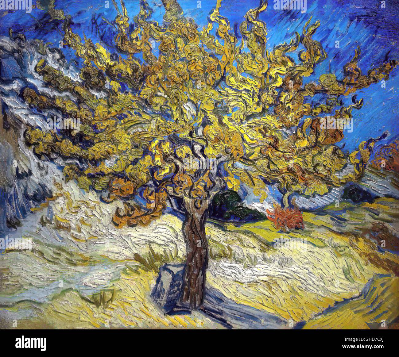 Der Maulbeerbaum von van Gogh 1889, Post-Impressionismus, Öl auf Leinwand. Norton Simon Museum, Pasadena, CA, USA. Stockfoto