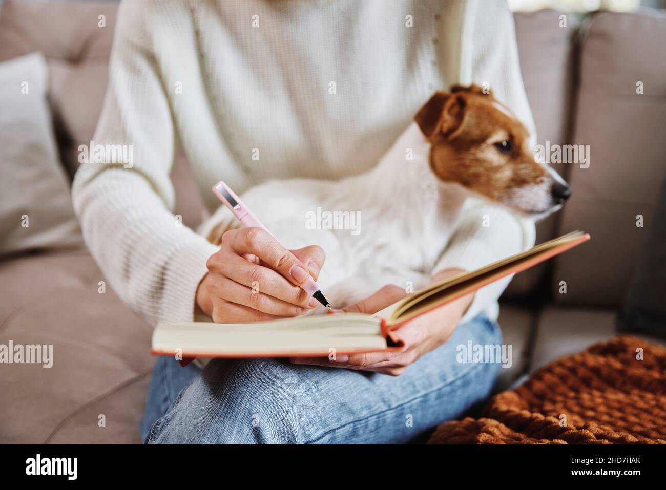 Frau, die zu Hause mit ihrem Hund arbeitet. Weibliche Hand schreiben Notizen in Notizbuch Stockfoto