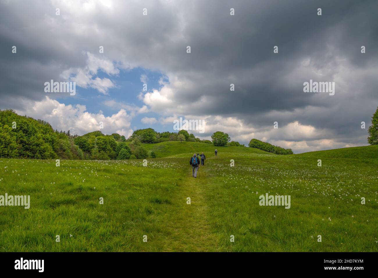 Naturlandschaft im Frühling auf dem Berg Pian della Cavalla in Ligurien, in der Gemeinde Fascia, Provinz Genua, Italien Stockfoto