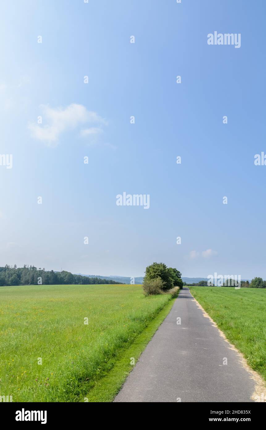 Asphaltierte Straße in einem Feld auf dem Land in Rheinland-Pfalz, Deutschland, Europa Stockfoto