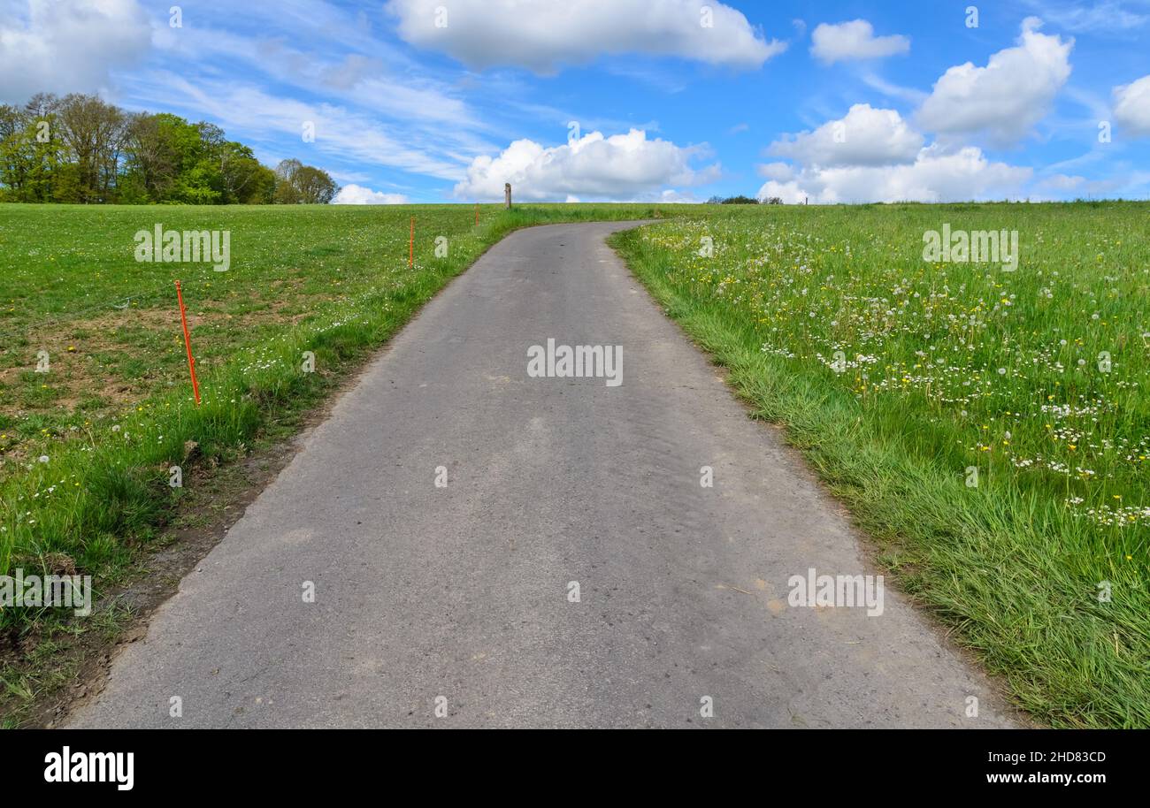 Asphaltierte Straße in einem Feld auf dem Land in Rheinland-Pfalz, Deutschland, Europa Stockfoto