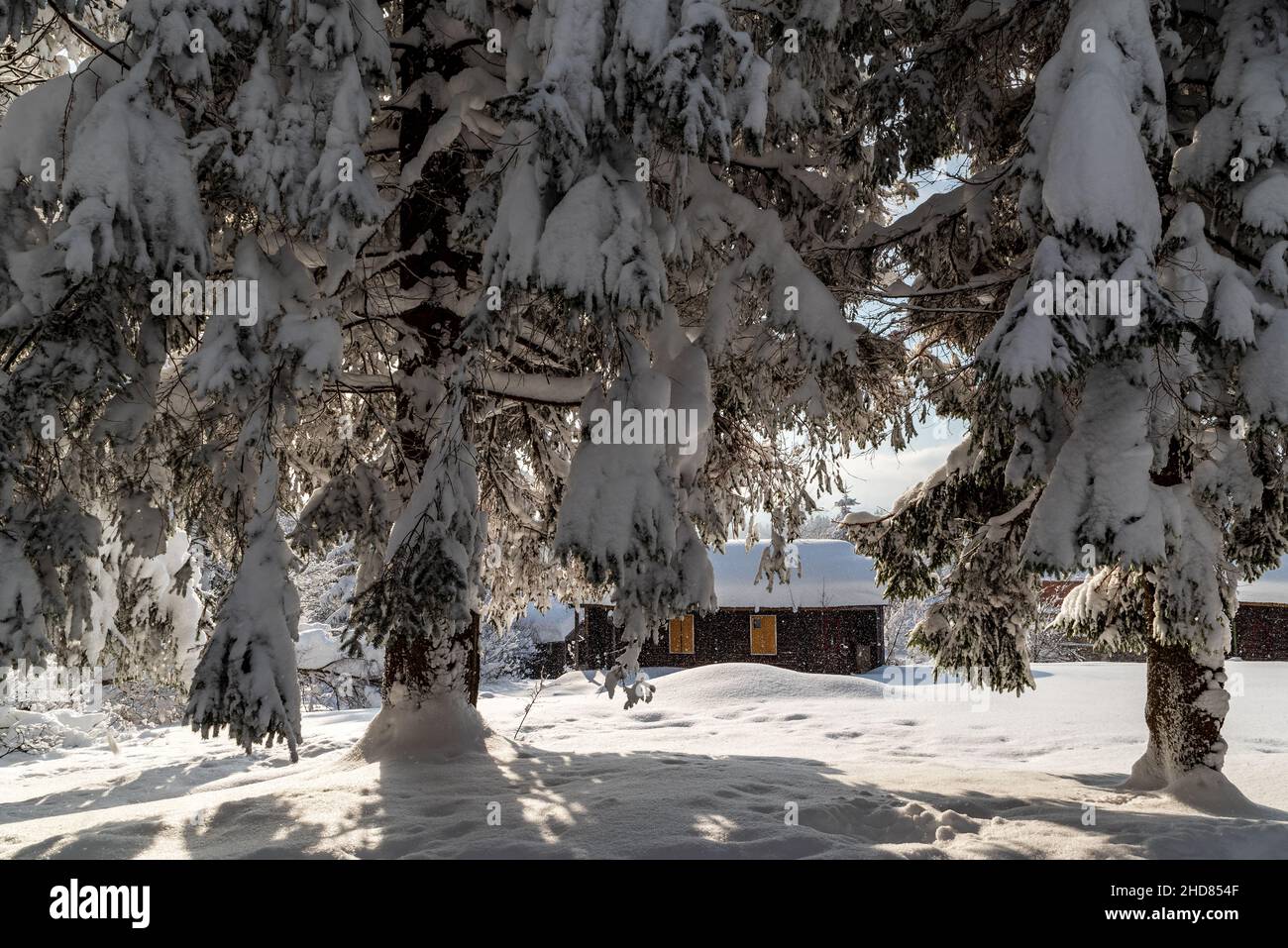 Winterr Landschaft mit Schnee, Hütte, Bäumen und Schneeröchern auf Luft auf Bily kriz in Moravskoslezske Beskydy Berge Stockfoto