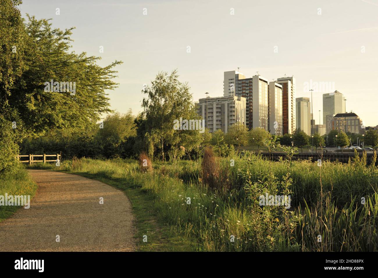 Bow Creek Ecology Park, grüne Stadtlandschaft im Osten Londons in Poplar. Stockfoto
