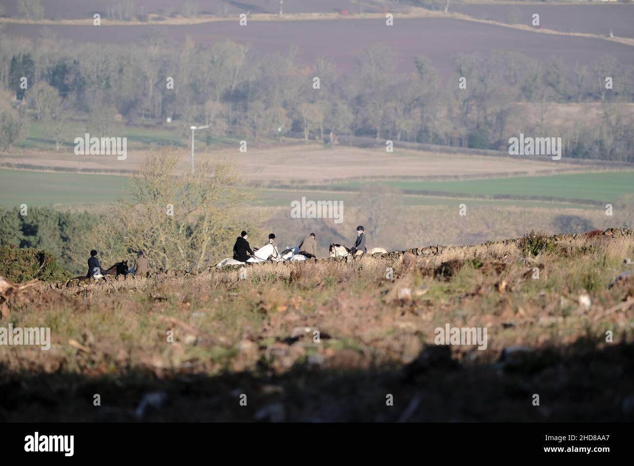 Jedburgh, Großbritannien. 04th Januar 2022. Berittene Anhänger der Jedforest Hunt zusammen mit Jagdhunden in Feldern und bewaldeten Ackerland in Lanton bei Jedburgh in den Scottish Borders am Dienstag, den 04. Januar 2022. Seit dem Wild Mammals Protection (Scotland) Act (2002). Die anhaltenden Bedenken über die Wirksamkeit der Gesetzgebung und über die Verwendung von Hundepaketen zur Füchsflutung veranlassten die schottische Regierung, Lord Bonomy zu ernennen, um eine Überprüfung der Funktionsweise der Gesetzgebung vorzunehmen. Der Bericht wurde im November 2016 veröffentlicht. ( Kredit: Rob Gray/Alamy Live News Stockfoto