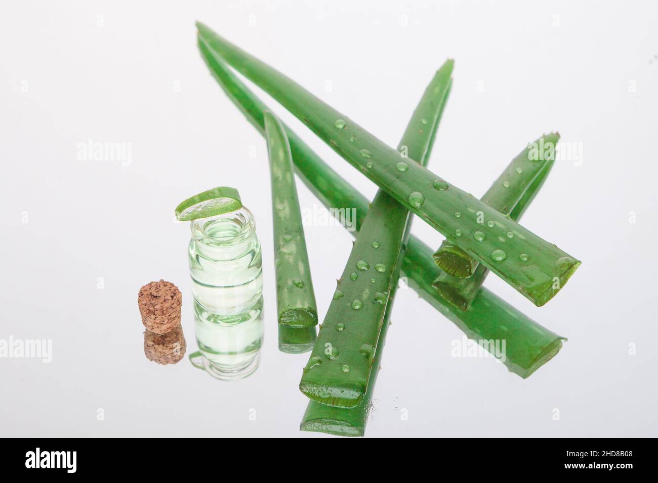 Aloe Vera Öl, natürliche Kosmetik. Grüne Aloe-Blätter. Stockfoto