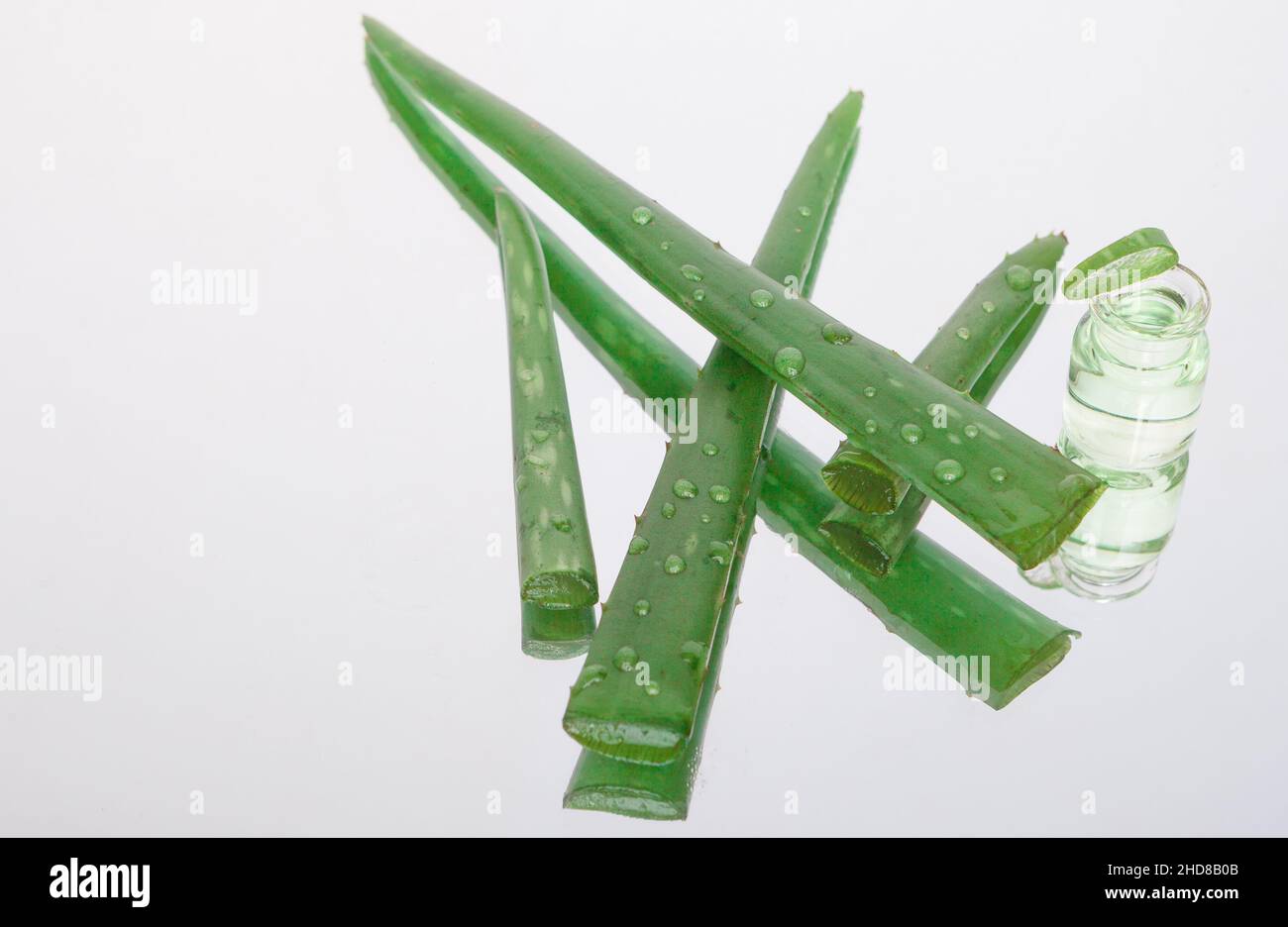 Natürlicher Aloe Vera-Blattextrakt, Flasche mit Exstark und Blättern. Stockfoto