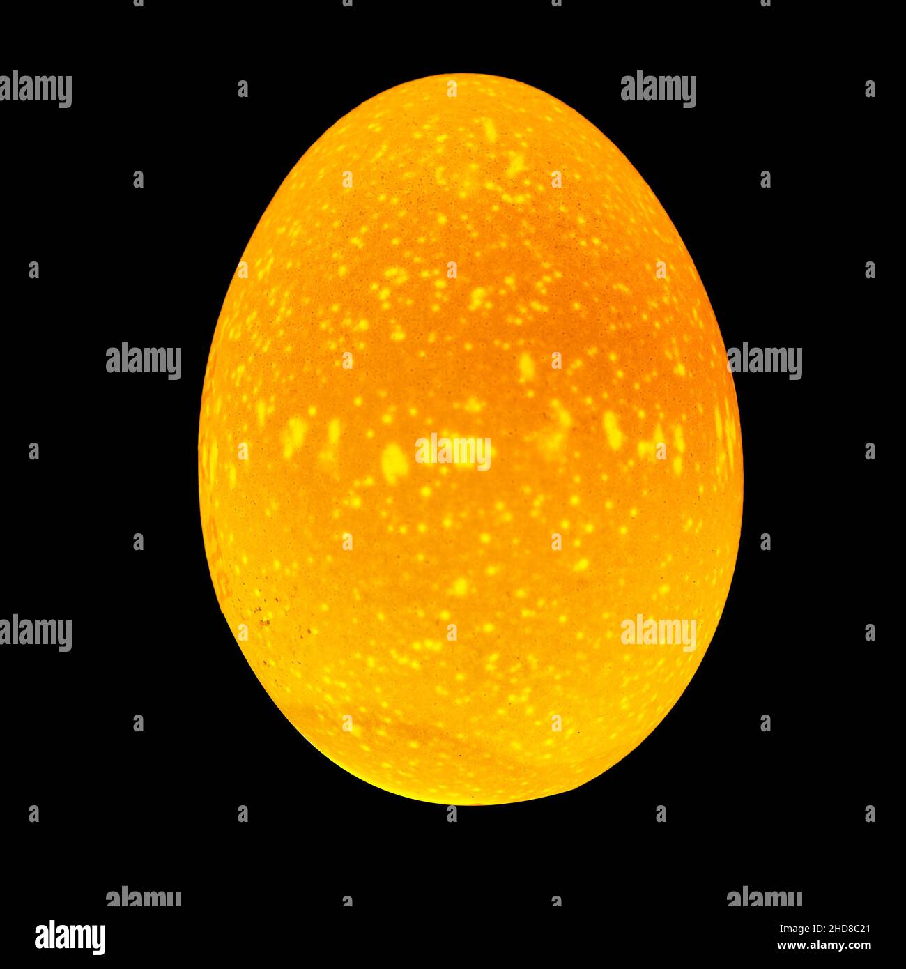 Leuchtendes, glühendes Ei in einem hellen Lichtstrahl, der durchläuft. Isoliert auf Schwarz. Stockfoto