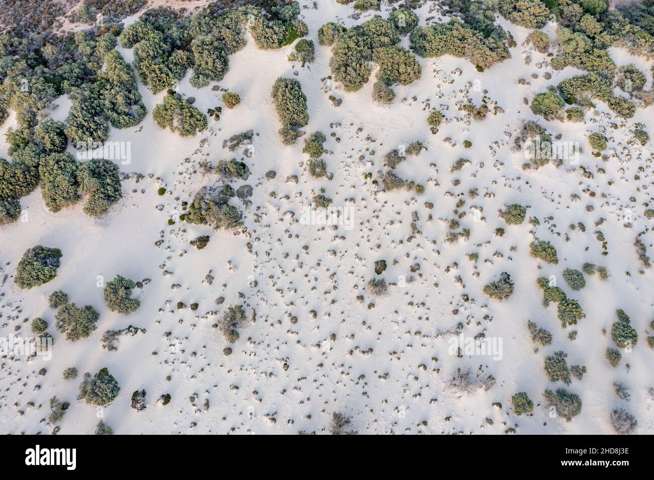 Elefonisos sandige Küste und Vegetation Luftbild. Wilde Pflanzen und weiße Sanddünen, endemische Flora von oben Stockfoto